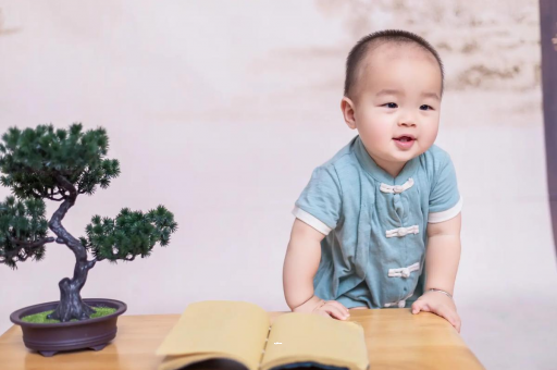 广州包生男孩的试管医院可爱的企鹅宝宝